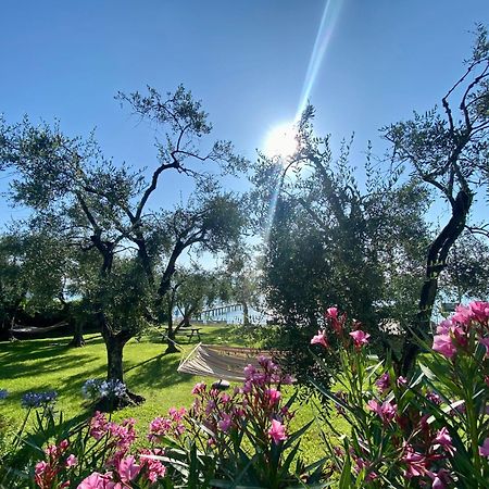 Villa Schindler Manerba del Garda Dış mekan fotoğraf