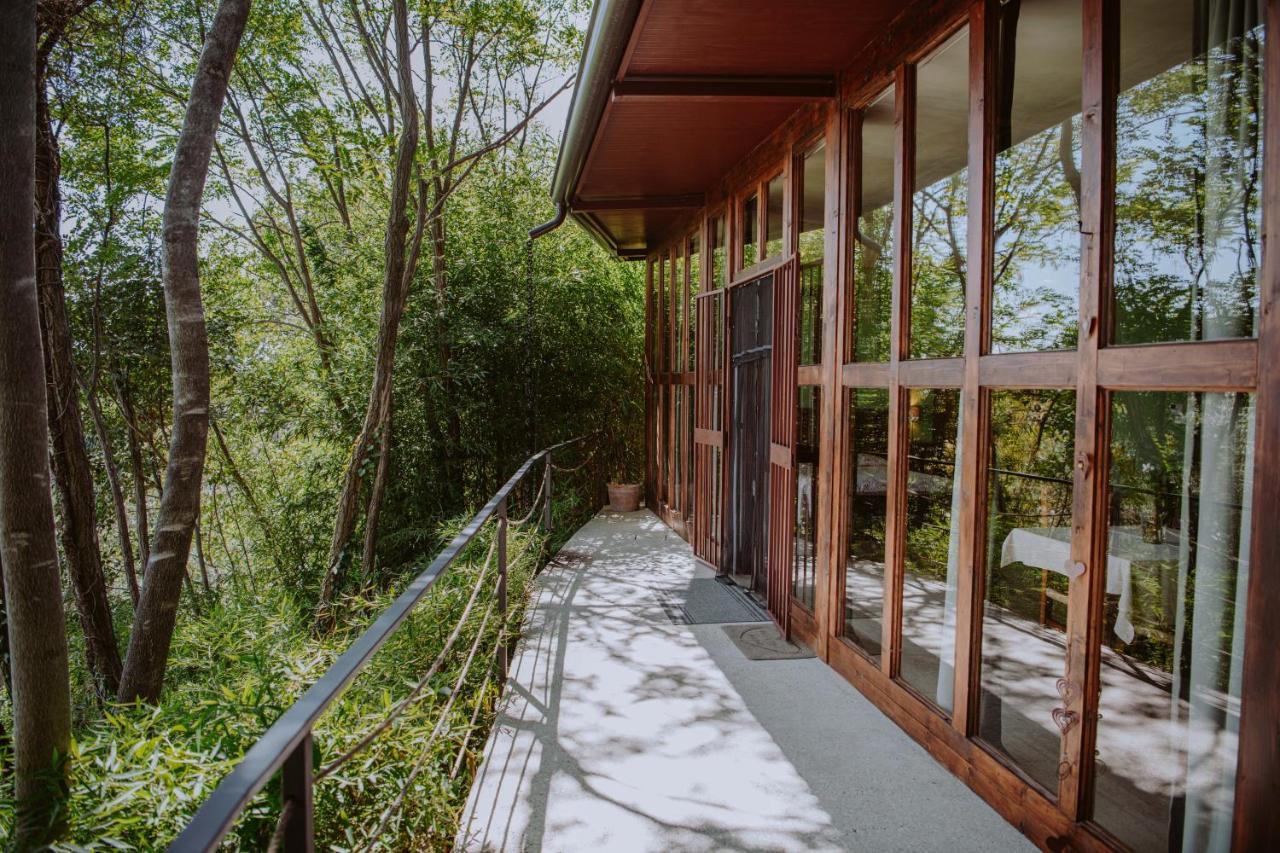Villa Schindler Manerba del Garda Dış mekan fotoğraf