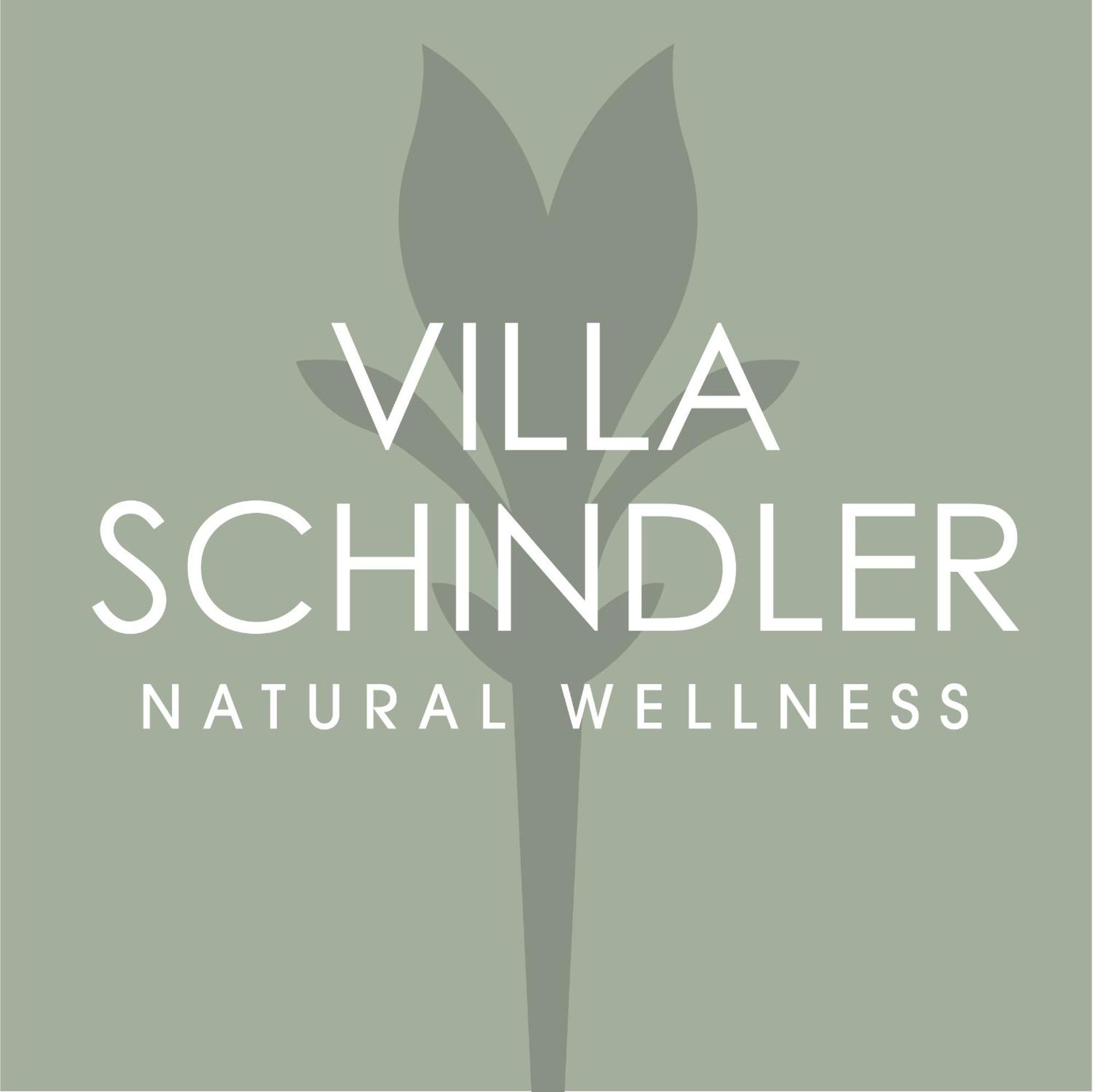Villa Schindler Manerba del Garda Dış mekan fotoğraf